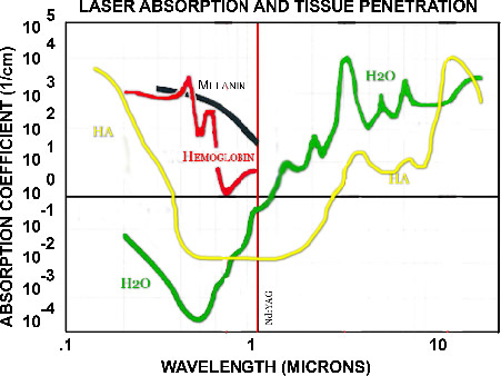Laser Absorption and Tissue Penetration Graph